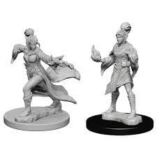 Pathfinder Elf Female Sorcerer