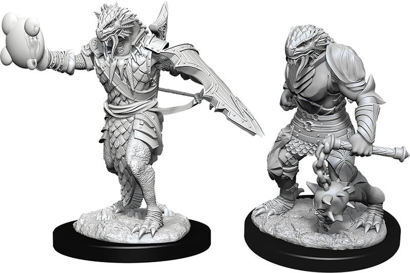Dungeons &amp; Dragons: Nolzur&#39;s  Male Dragonborn Paladin
