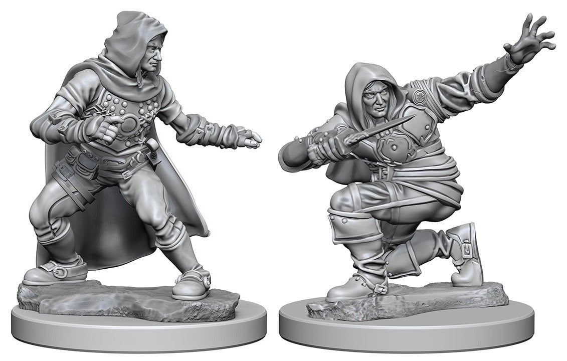 Pathfinder Human Male Rouge