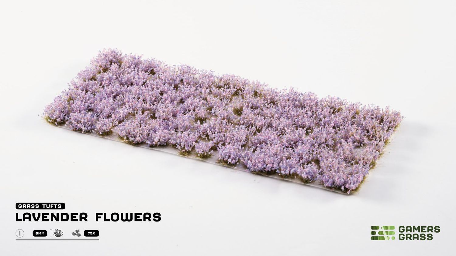 Lavender Flowers