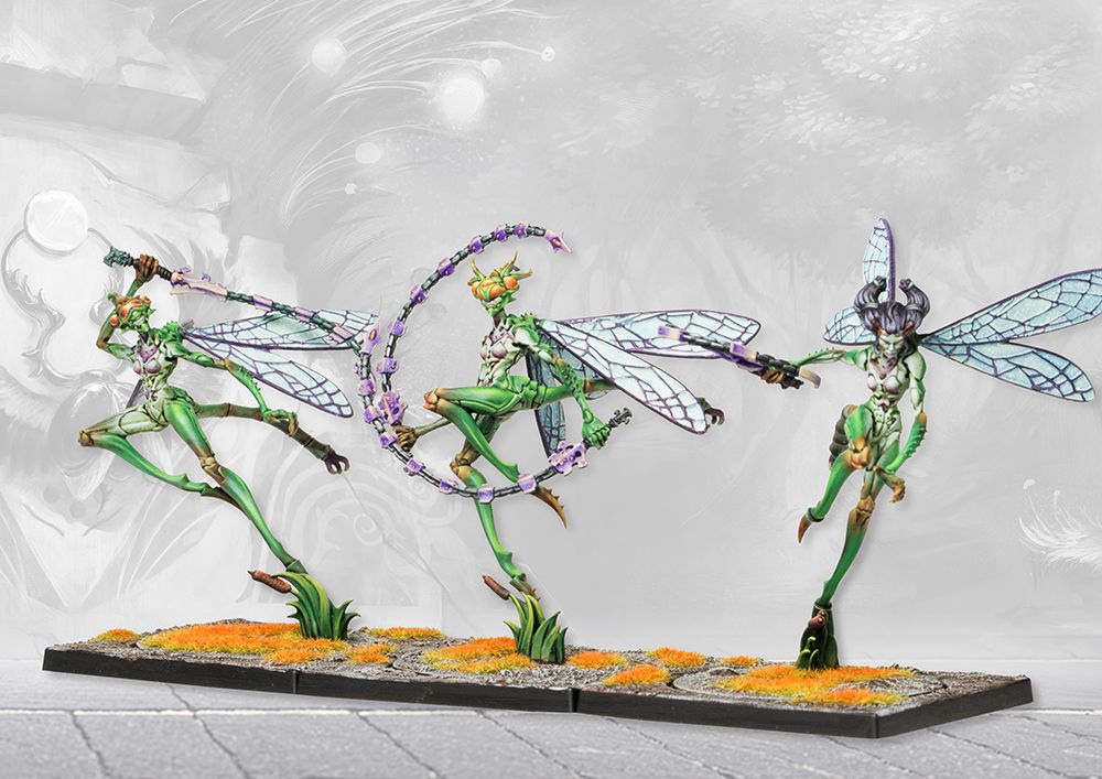 Scaile Dancers