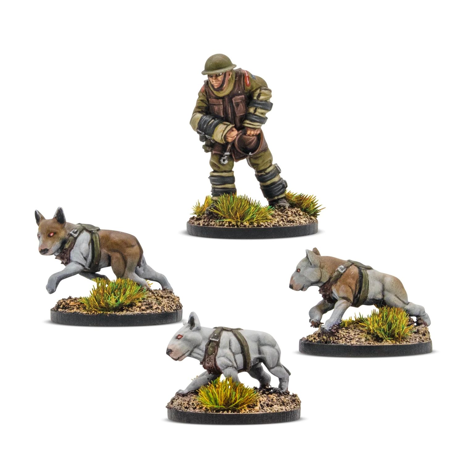 Cerberus Squad 1