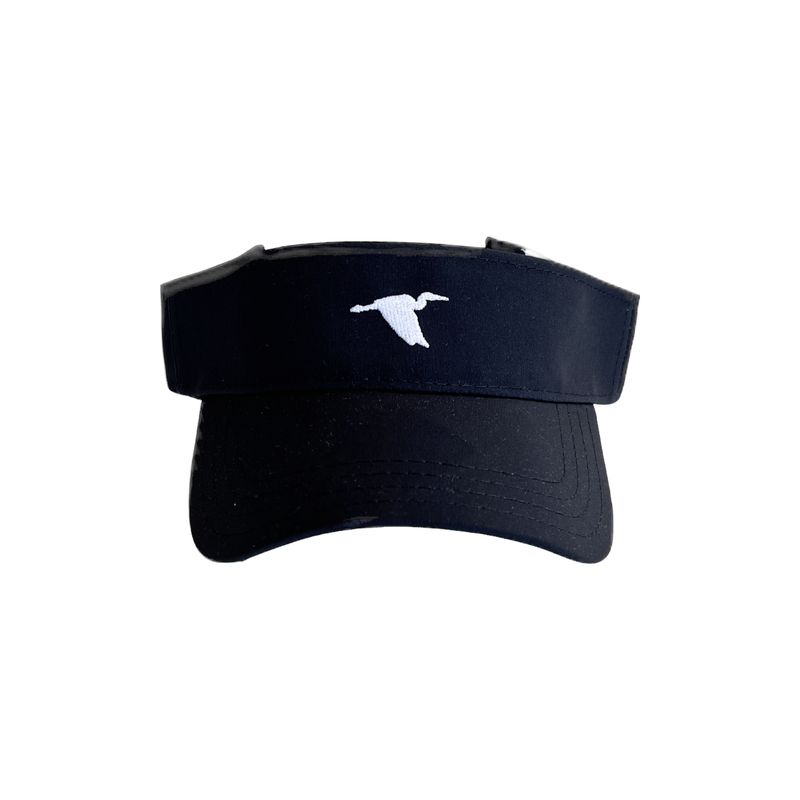 Heron Visor