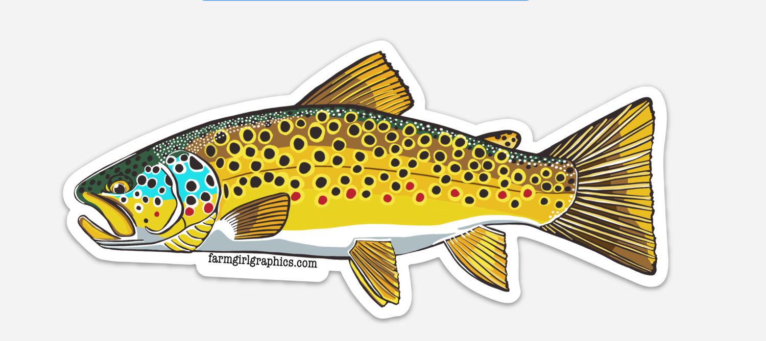 Brown Trout Vinyl Decal                                                                 100% of sales go to East TN Red Cross