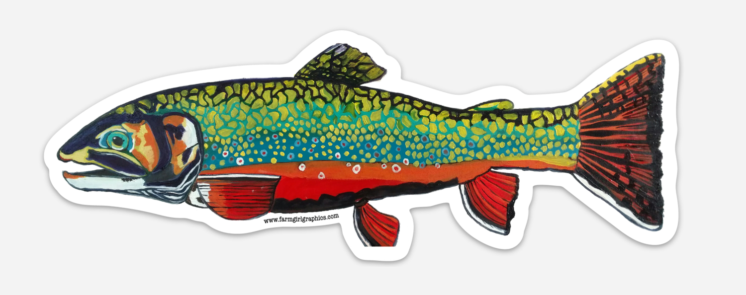 Brook Trout Vinyl Decal