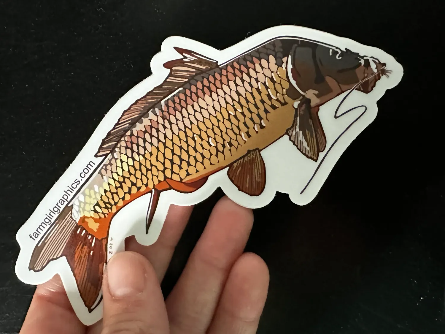 CARP Vinyl Decal