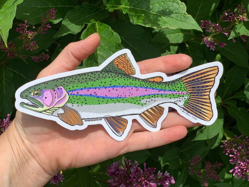Rainbow Trout Vinyl Decal