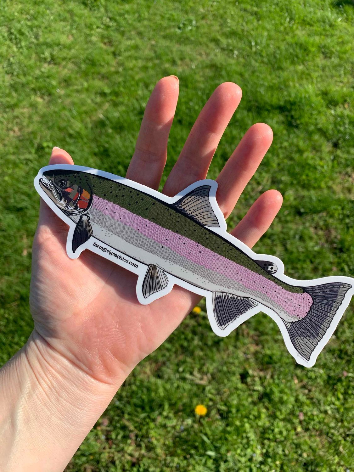 Steelhead Vinyl Decal