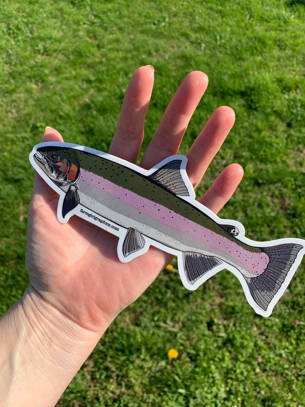 Steelhead Vinyl Decal