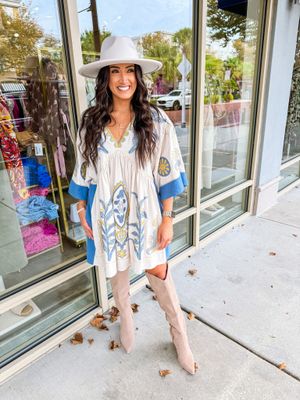 sachin and babi light blue dress Tinsley Embroidered V-Neck Dress in White Multi main image 0