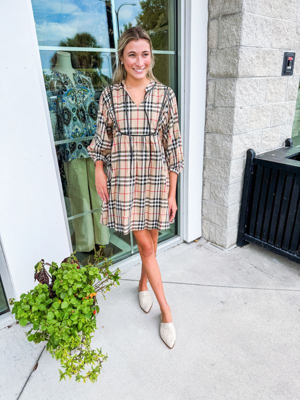 Tie Detail Plaid Dress - Taupe