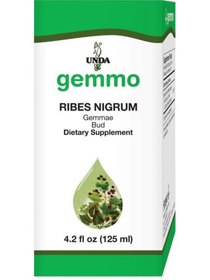 Ribes Nigrum, 4.2 oz (Gemmo)