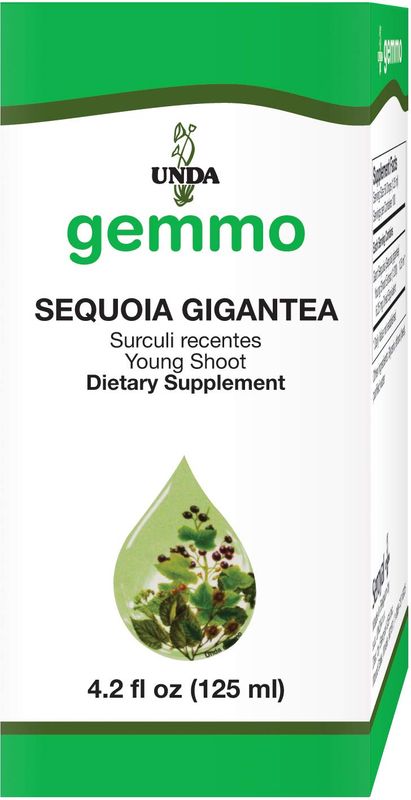 Sequoia Gigantea, 4.2 oz (Gemmo)
