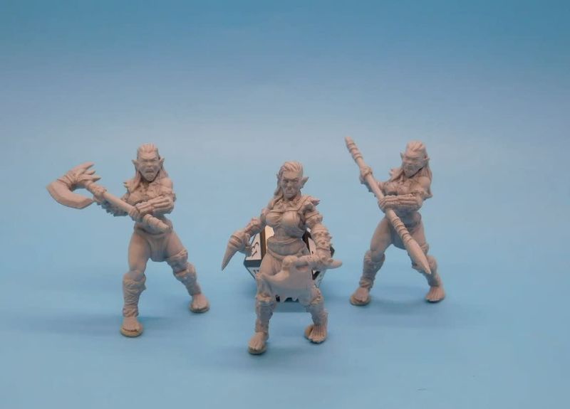 Dungeons &amp; Dragons - Figurines - Orc Females