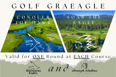 Hawk / Eagle - Two Course Play Card