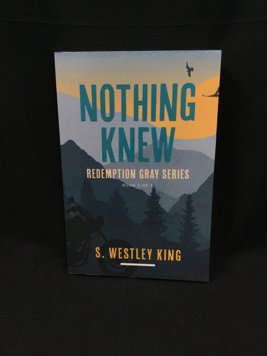 NOTHING KNEW : REDEMPTION GRAY SERI