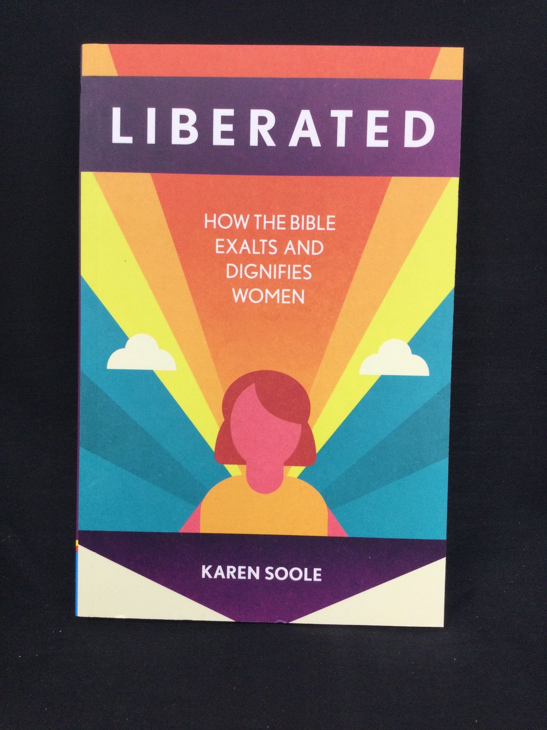 LIBERATED : HOW THE BIBLE EXALTS AN