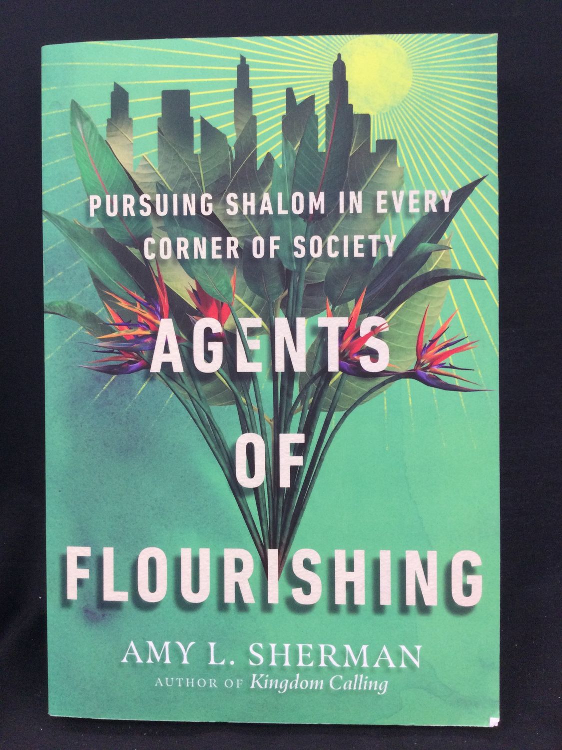AGENTS OF FLOURISHING