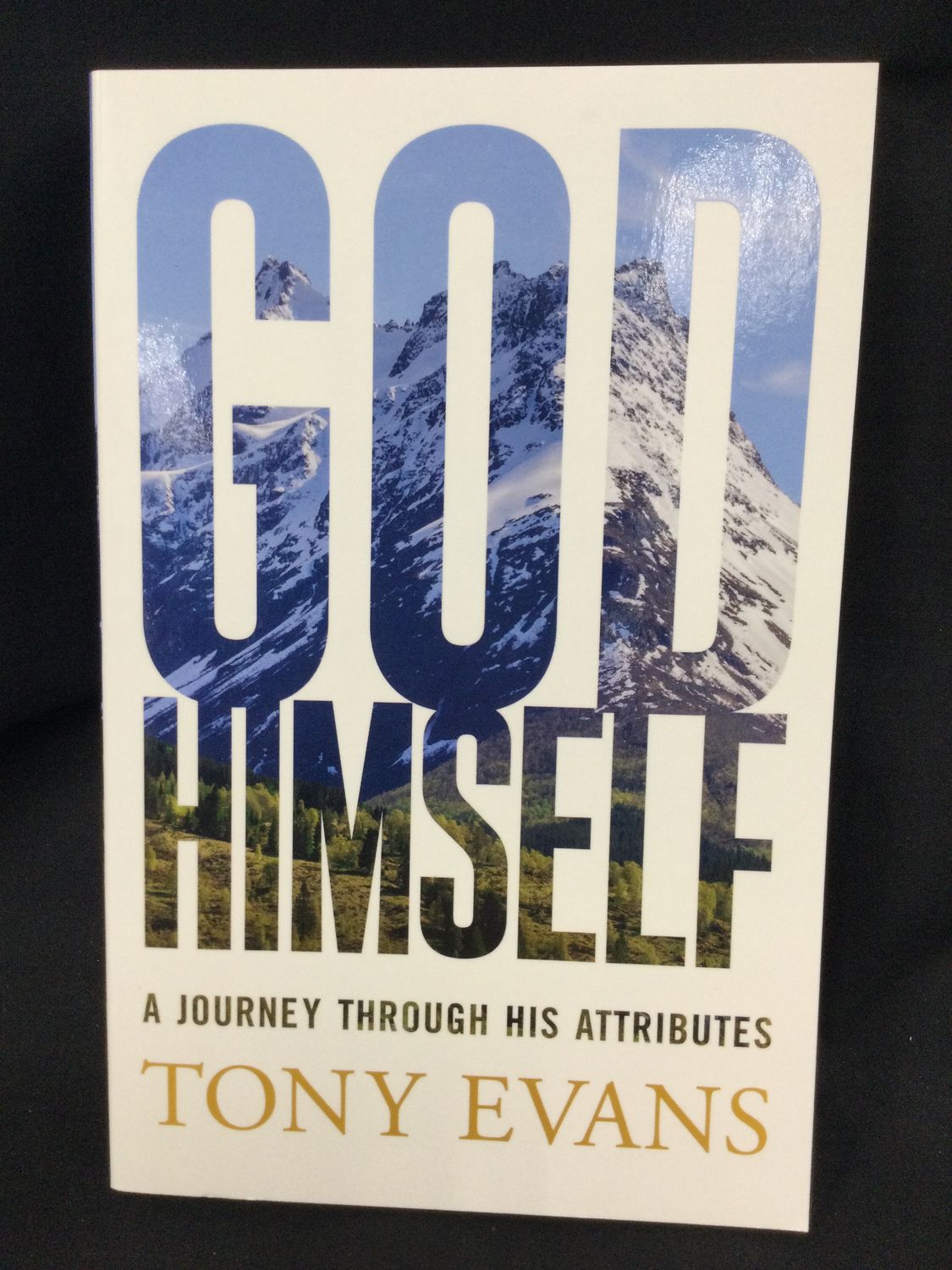 GOD HIMSELF : A JOURNEY THROUGH HIS
