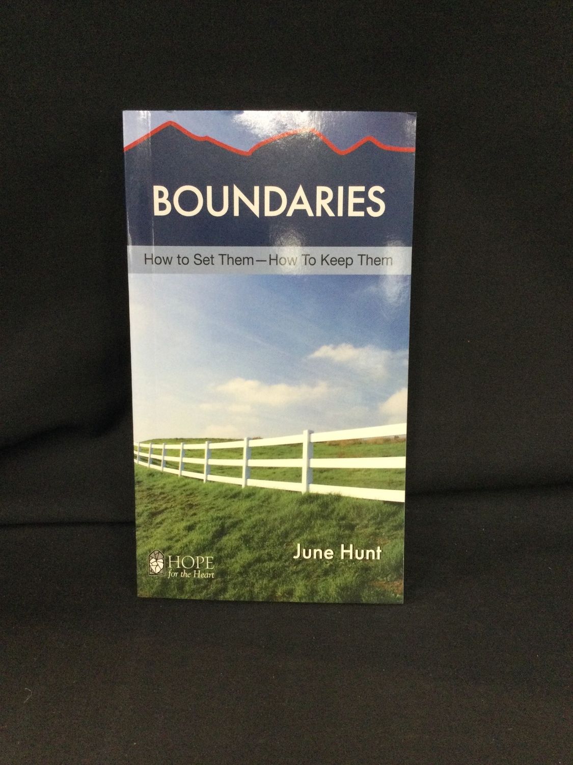 BOUNDARIES : HOW TO SET THEM HOW TO