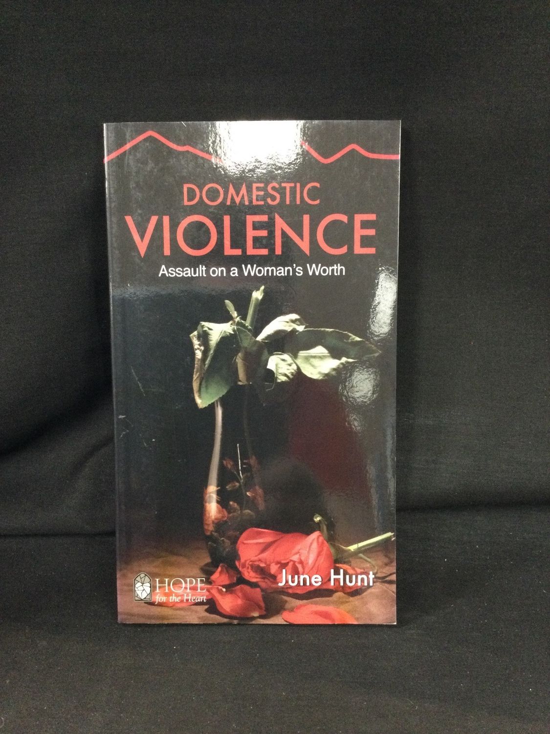 DOMESTIC VIOLENCE : ASSAULT ON A WO