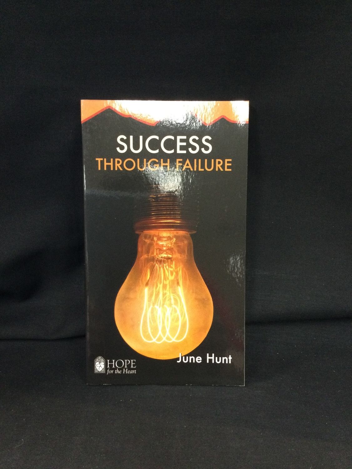 SUCCESS THROUGH FAILURE