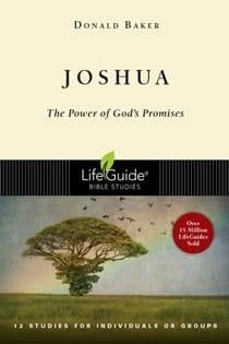 JOSHUA : 12 STUDIES FOR INDIVIDUALS