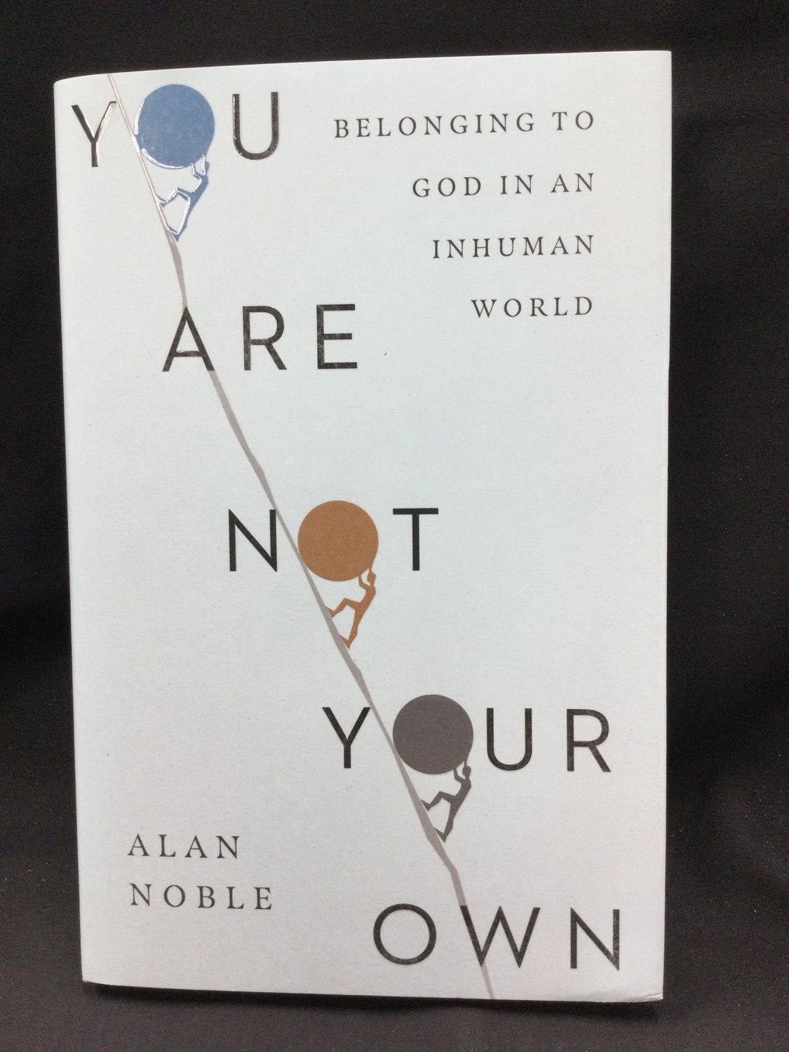 YOU ARE NOT YOUR OWN