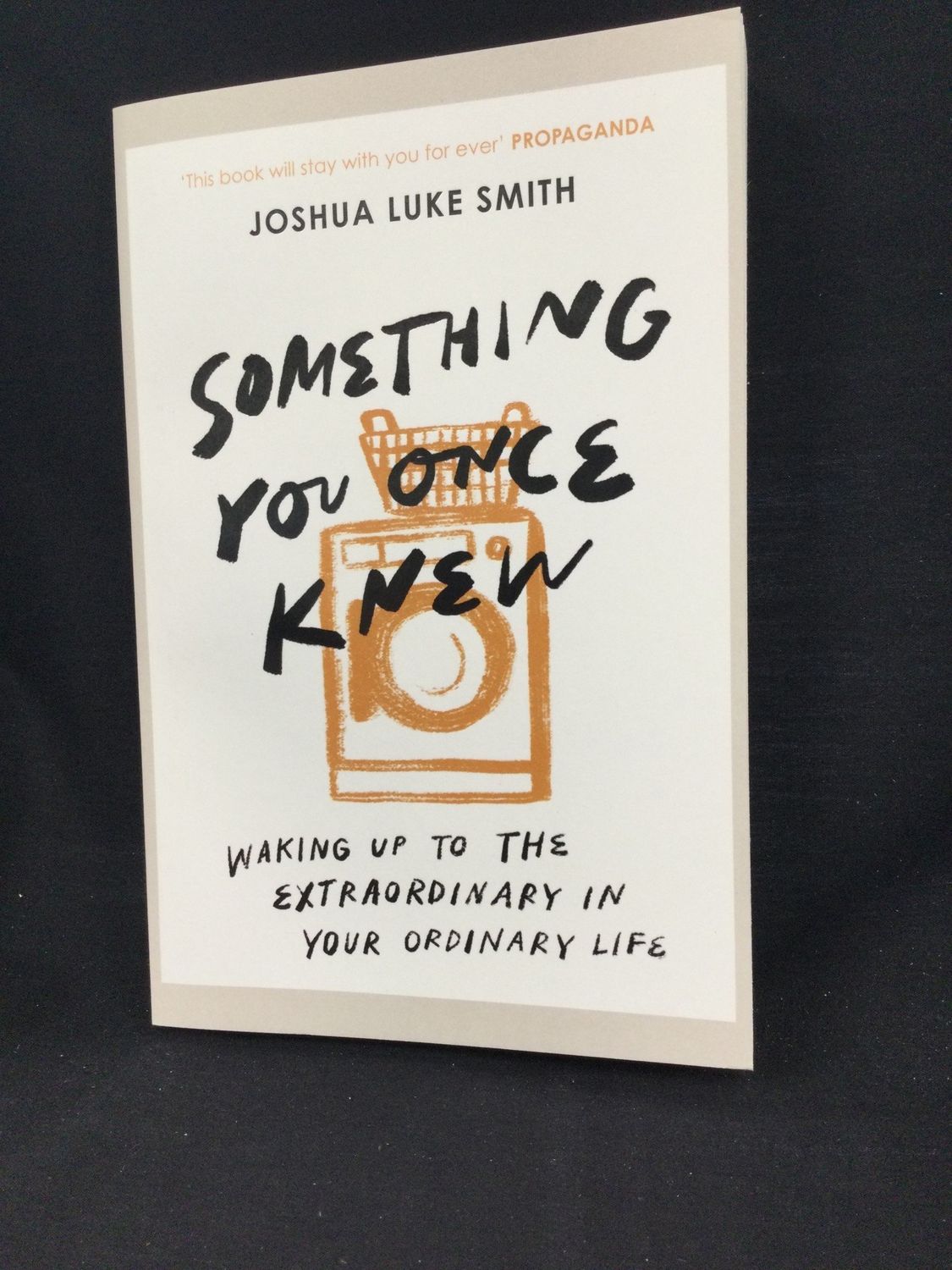 SOMETHING YOU ONCE KNEW