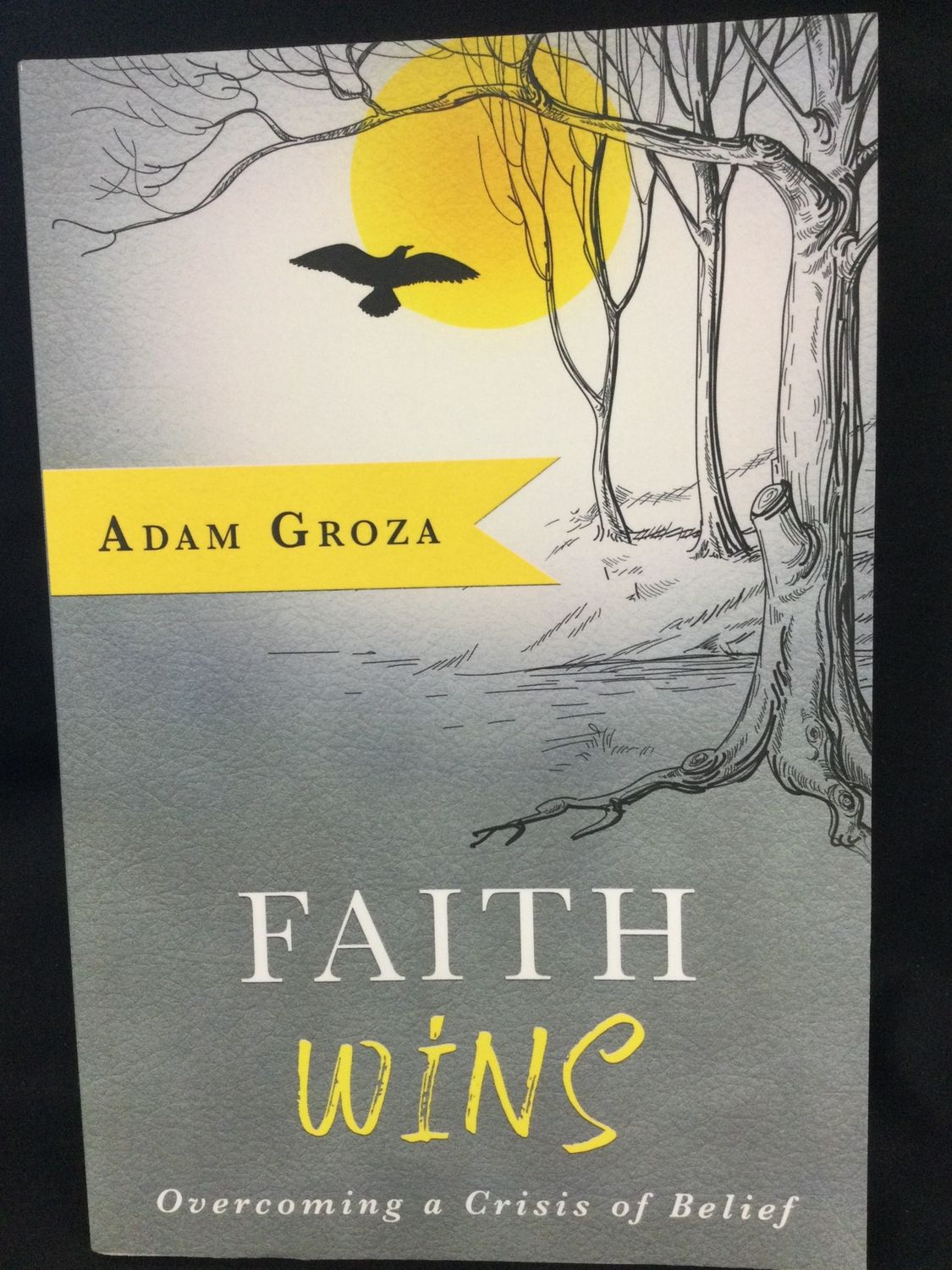 FAITH WINS : OVERCOMING A CRISIS OF