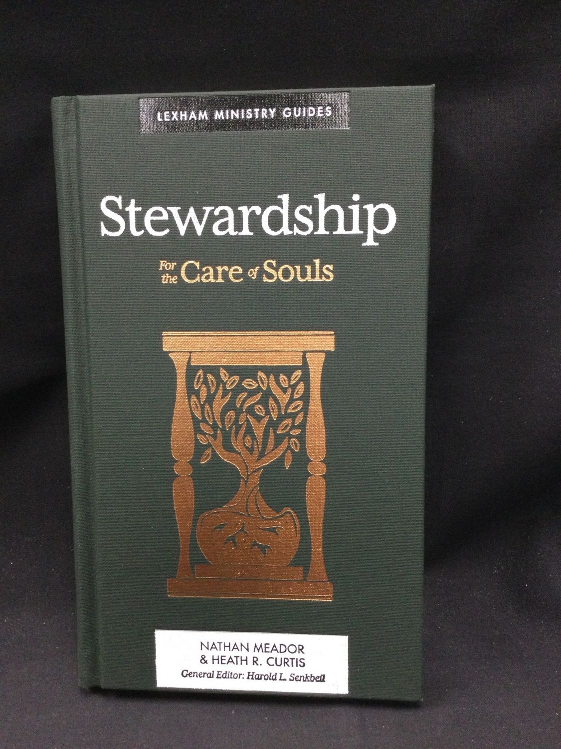 STEWARDSHIP : FOR THE CARE OF SOULS