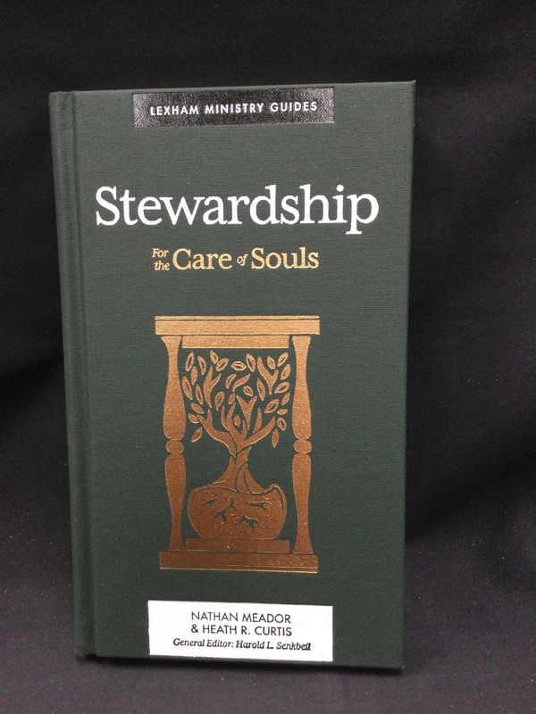 STEWARDSHIP : FOR THE CARE OF SOULS