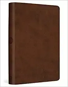 ESV Value Compact Bible (TruTone, Brown)