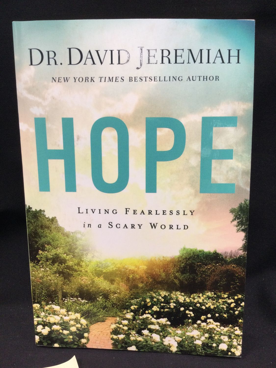 HOPE : LIVING FEARLESSLY IN A SCARY