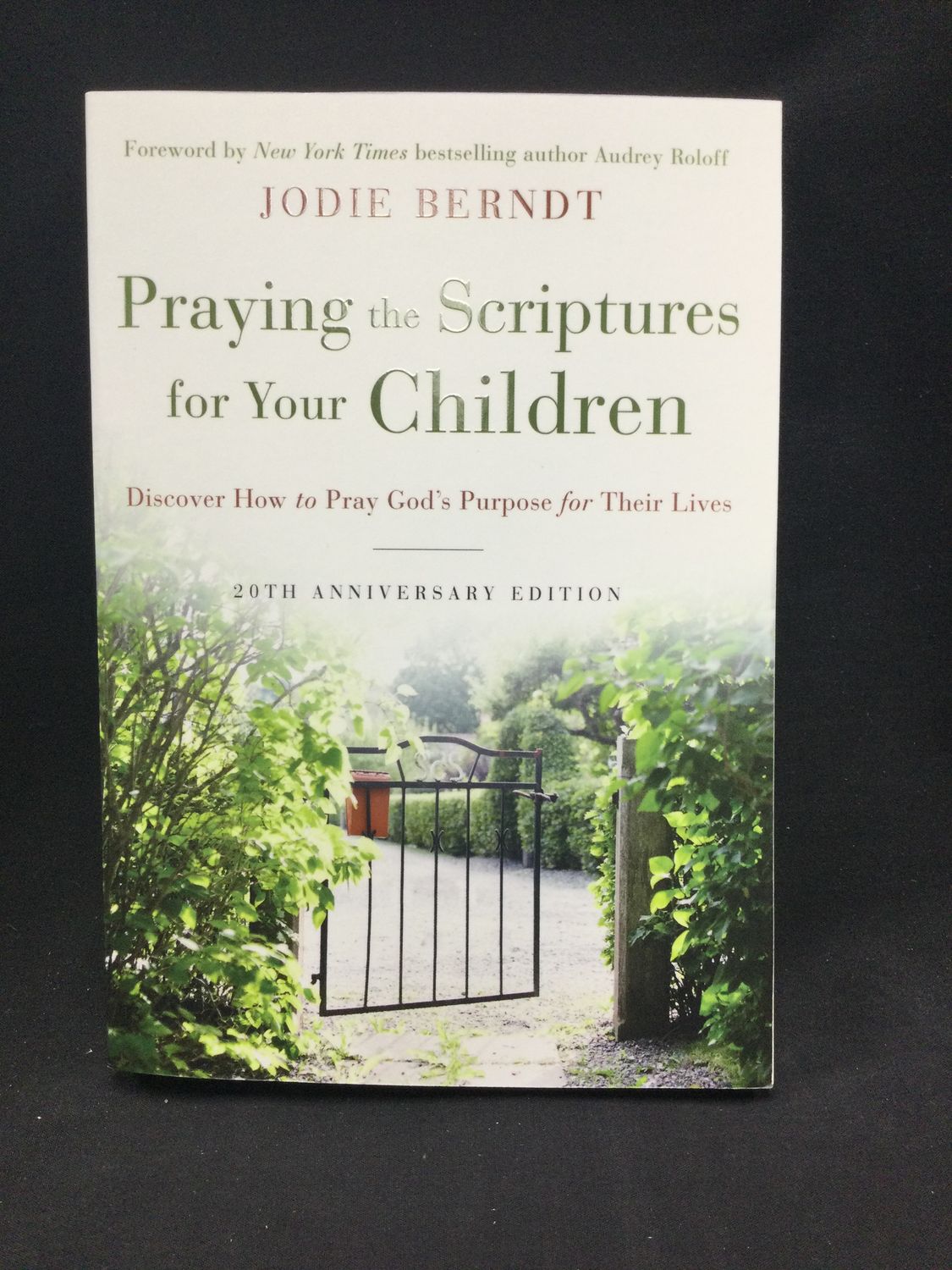 PRAYING THE SCRIPTURES FOR YOUR CHI