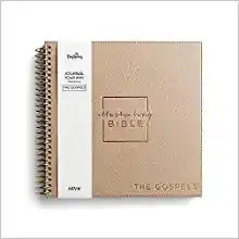 Illustrating Bible NIV: The Gospels - Mathew, Mark, Luke and John