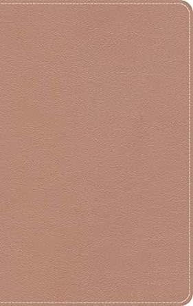 KJV On-The-Go Bible, Personal Size, Rose Gold LeatherTouch