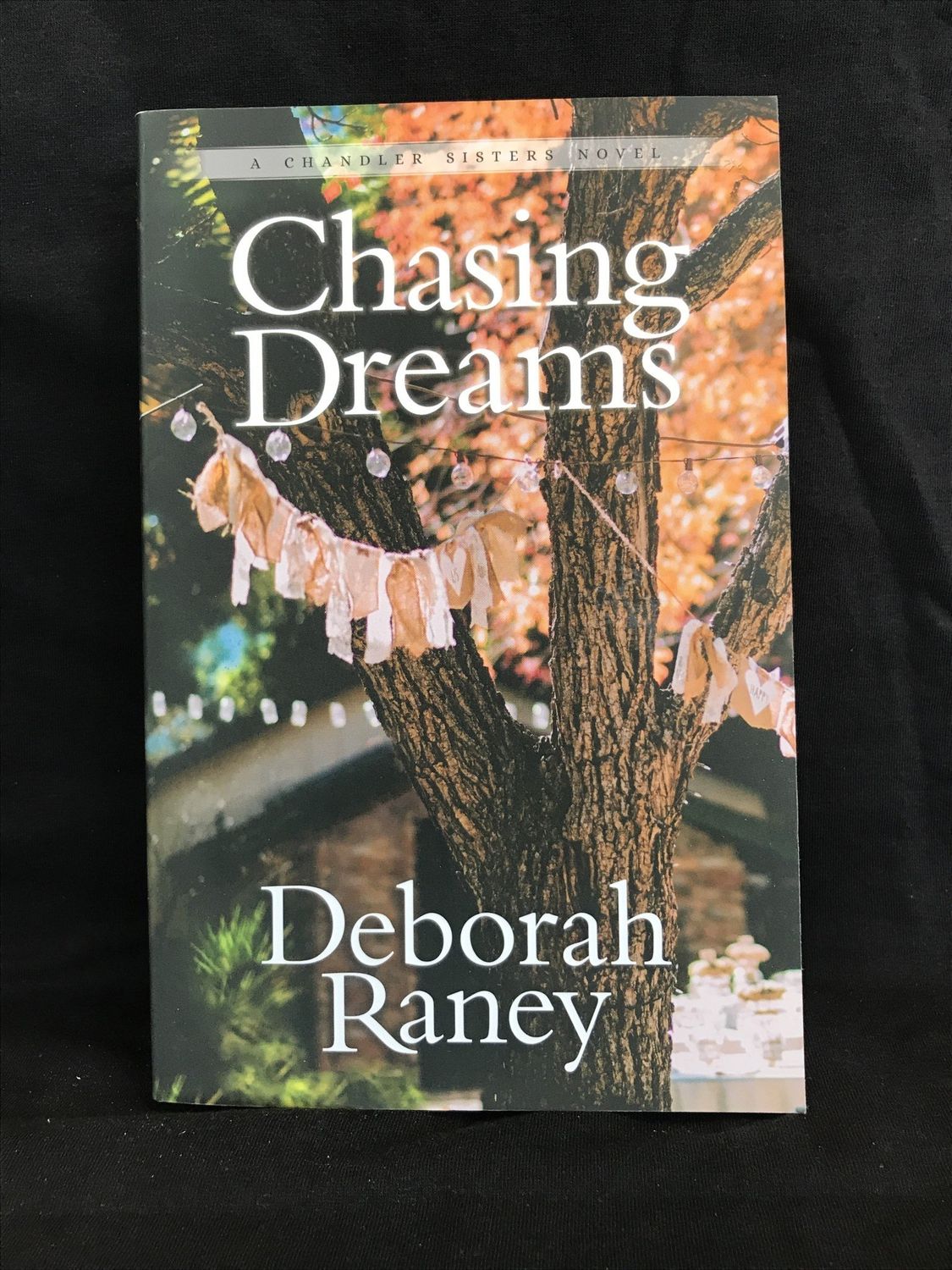 CHASING DREAMS
