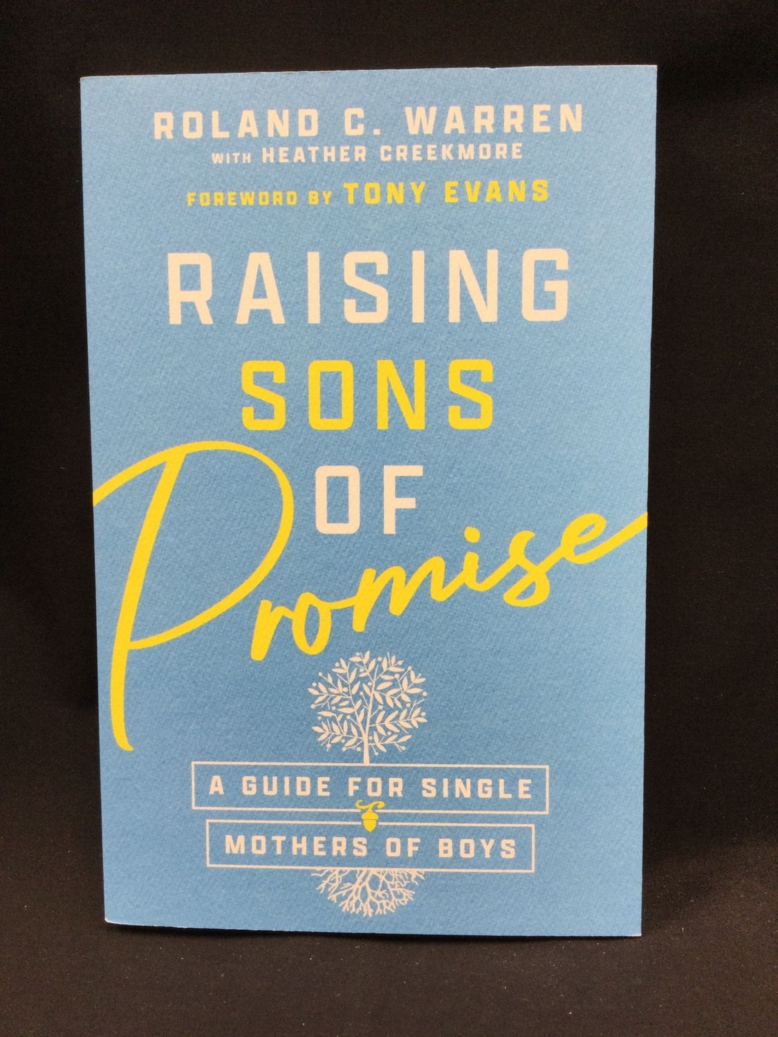 RAISING SONS OF PROMISE