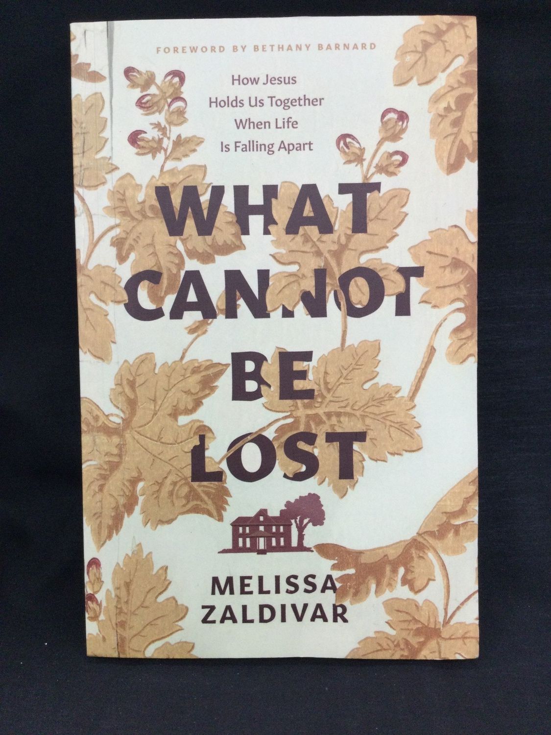 What Cannot Be Lost