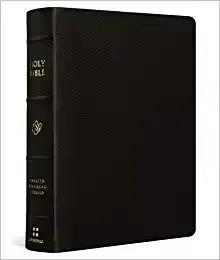 ESV Sngle Column Journaling Bible LP Buffalo Leather Brown