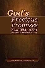 NASB God&#39;s Precious Promises New Testament-Softcover
