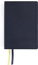 NASB 1995 Thompson Chain-Reference Bible/Large Print (Comfort Print)-Navy Leathersoft
