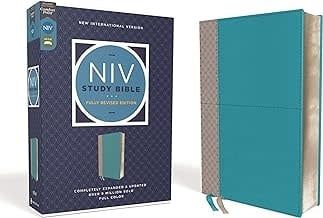 NIV Study Bible Leathersoft Teal/Grey