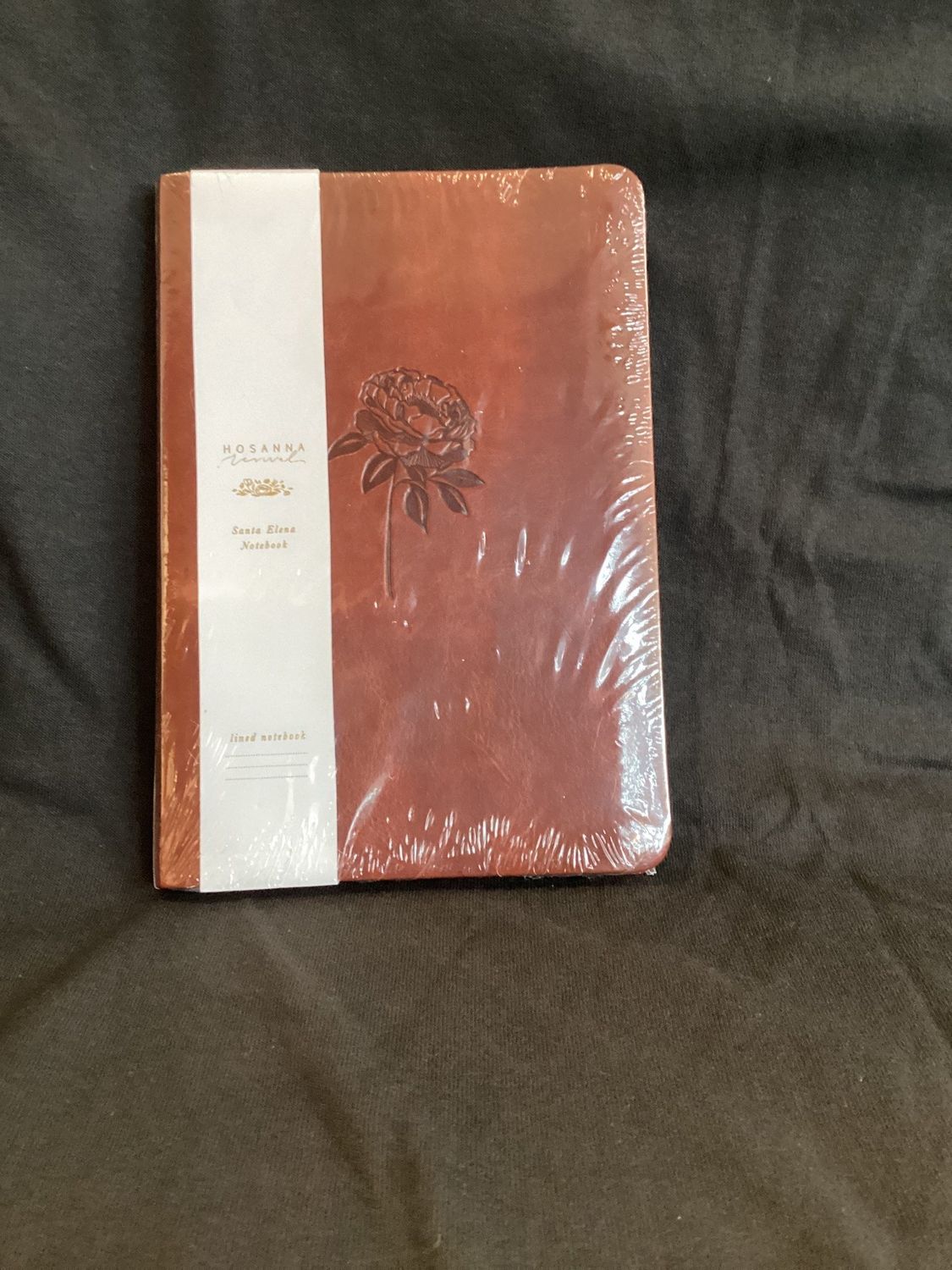 Hosanna Revival Notebook: Santa Elena Theme