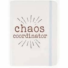 Notebook-Chaos Coordinator