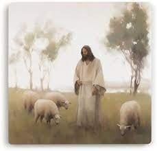 Jesus and Sheep - 4x4