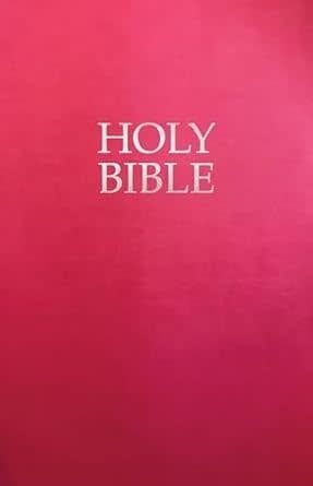 KJVER Gift and Award Holy Bible, Deluxe Edition, Berry Ultrasoft