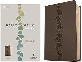 The Daily Walk Bible
