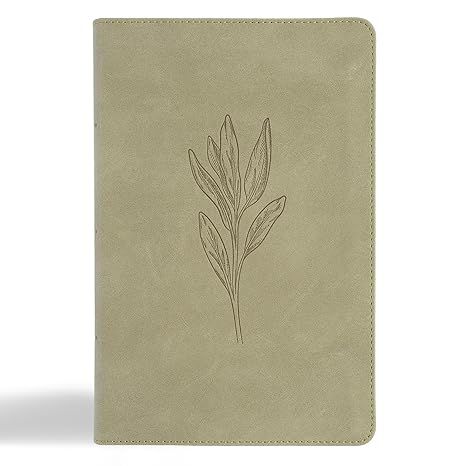 CSB Large Print personal size Bible with digital resources-sage